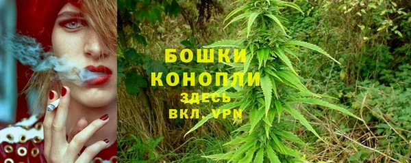 дживик Арсеньев