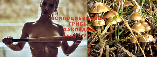 эйфоретик Армянск