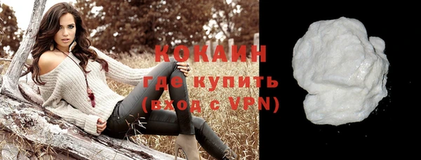 дживик Арсеньев