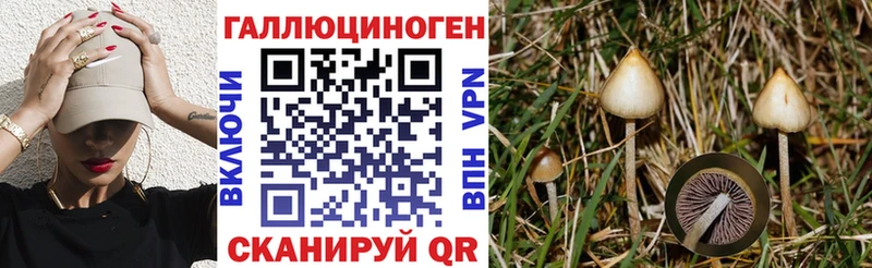 Галлюциногенные грибы прущие грибы  сколько стоит  Сасово 